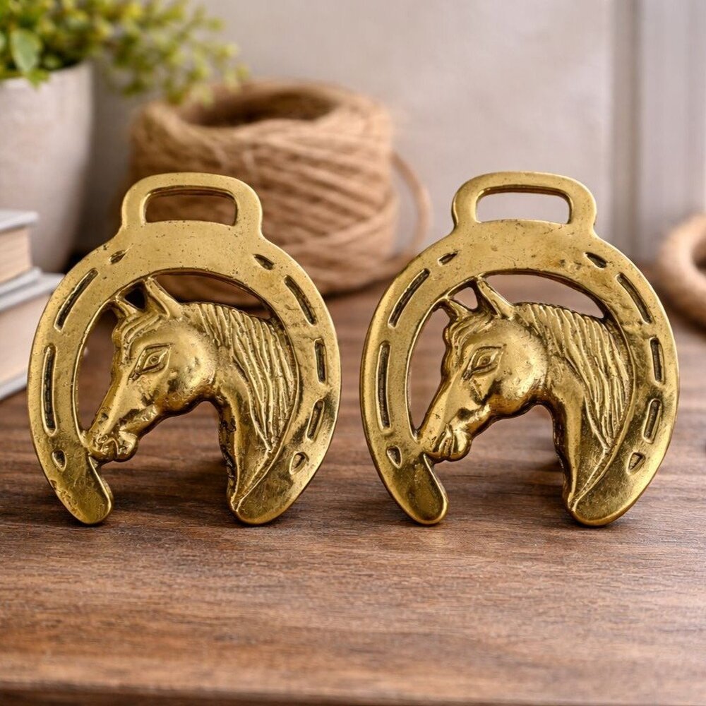 Vintage Solid Brass Horse Brasses‎ Horseshoe Medallion Pair Equestrian Decor
